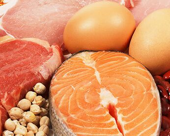 체중 감량을위한 단백질 다이어트